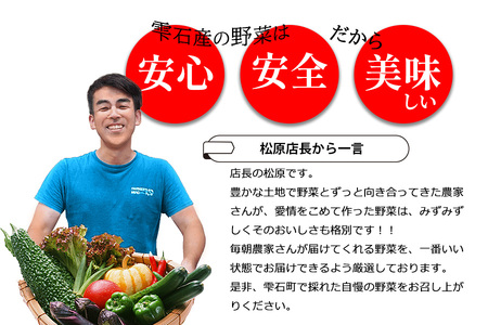 2024年9月より発送！ 野菜ソムリエ“産直松の実の松原店長”厳選！ヨーロッパ野菜BOX 8品 ／ 人気 産直 採れたて 野菜
