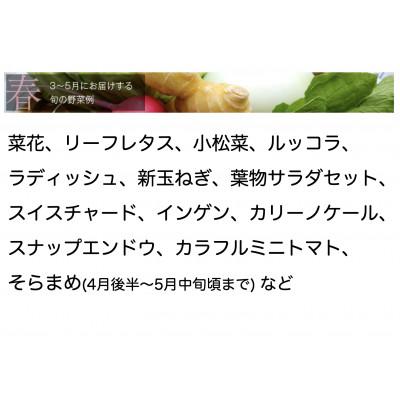 ふるさと納税 館山市 【毎月定期便】【下旬発送】こだわりの旬野菜BOX「リエビン」季節の野菜セット全6回 |  | 01