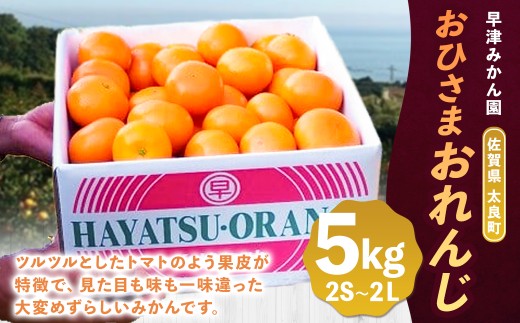 N85x1 おひさまおれんじ５kg 希少 みかん ミカン 蜜柑 フルーツ くだもの 果物 ミネラル豊富 太良町 国産 人気 おすすめ ギフト贈り物 ギフト 濃厚 ジューシー 甘い【2026年12月上旬～2027年1月上旬】