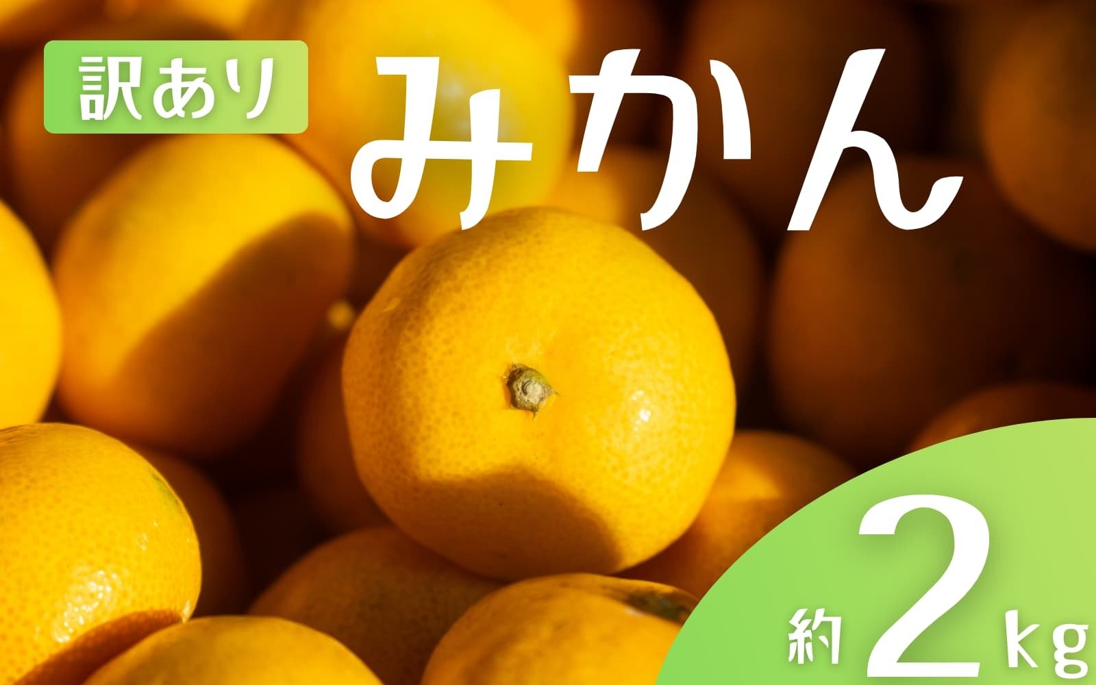 
            【訳あり】 森本農園の手選別 みかん 約2kg 和歌山県産 2S~2Lサイズ混合 【2025年11月上旬～2026年2月中旬ごろに順次発送】【mrmt008】 
          