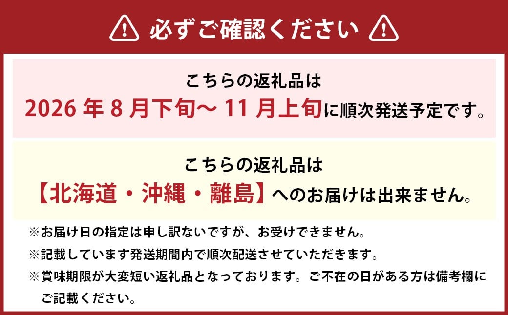 シャインマスカット 晴王 1房 （800g以上） 化粧箱入り 【2026年8月下旬～11月上旬迄発送予定】 ／ マスカット 葡萄 ぶどう 果物 果実 フルーツ 種なし 皮ごと 大粒 岡山県 美咲町 冷