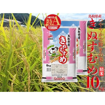 ふるさと納税 湯梨浜町 鳥取県産きぬむすめ◇精米10kg◇令和7年産(47M.)