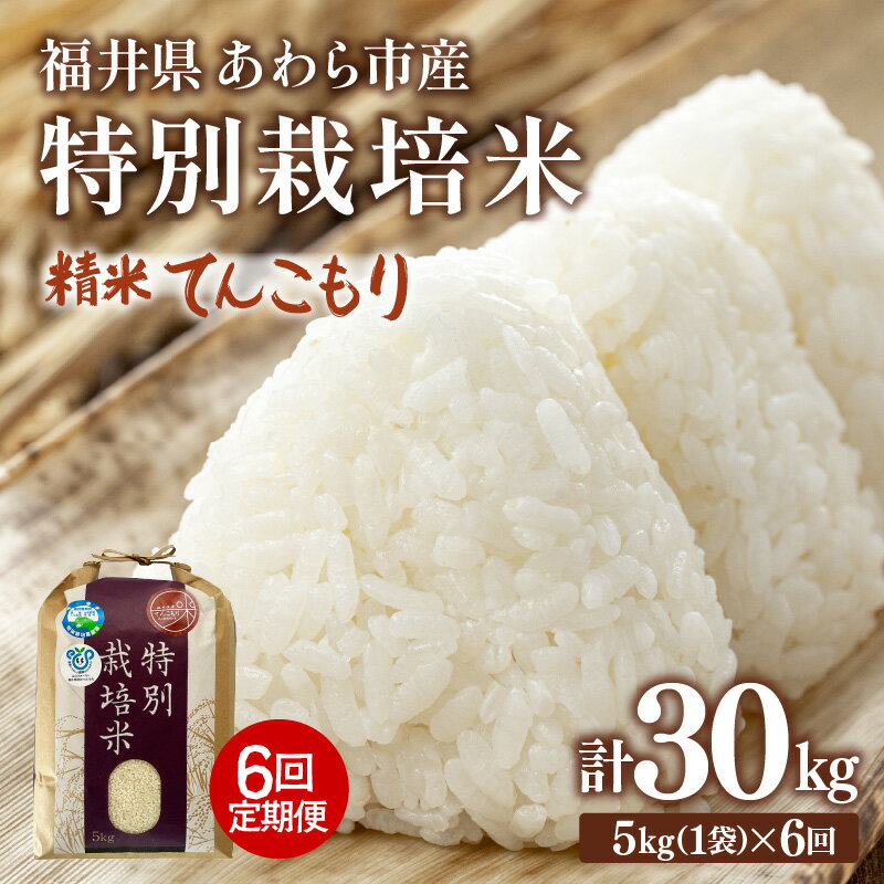 【ふるさと納税】【先行予約】【令和8年産】定期便 ≪6ヶ月連続お届け≫ 化学肥料不使用 てんこもり 精米 5kg × 6回（合計30kg）※2026年10月上旬より順次発送予定