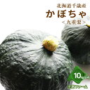 【ふるさと納税】2024年秋発送 かぼちゃ＜九重栗＞10kg《土居ファーム》 野菜 かぼちゃ 九重栗 南瓜 カボチャ 北海道ふるさと納税 千歳市 ふるさと納税 【北海道千歳市】ギフト ふるさと納税