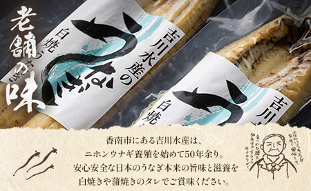 吉川水産 高知県産うなぎの白焼き 中サイズ(120～150g)×3尾 タレ付き yw-0046