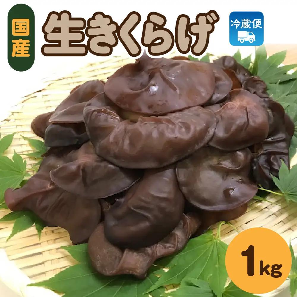 きくらげ 1kg (500g×2袋) 国産生キクラゲ木耳青森県五所川原市