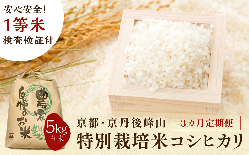 【3ヶ月定期便】2026年産 京都・京丹後峰山 特別栽培米コシヒカリ 5kg 【白米】 1等米 検査済証付　お米 精米 お弁当 おにぎり 京都府産 白米 特別栽培 一等米 ふるさと納税 米 定期便 生産者応援 農家応援