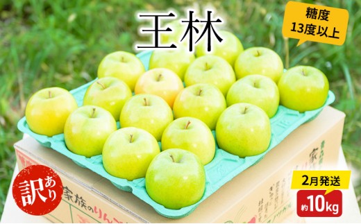 
                  りんご 【2月発送】 糖度13度以上 訳あり品 家庭用 王林 約 10kg 【 青森りんご  果物 フルーツ デザート 食後 青森県産 産地直送  】
                
