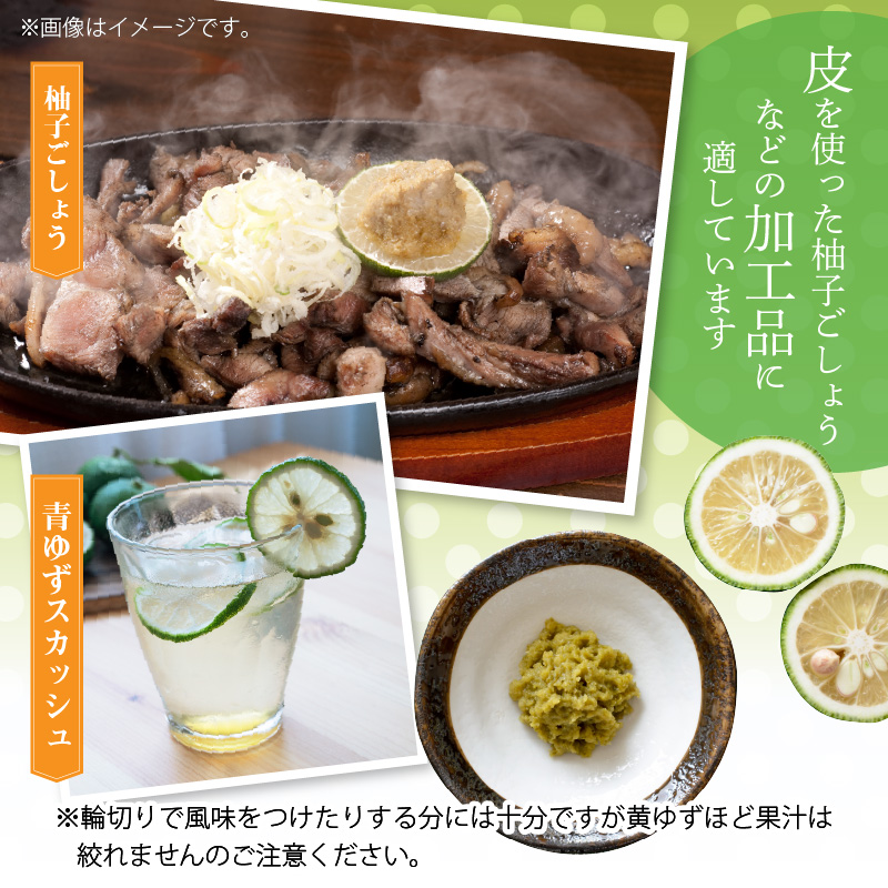 訳あり 青ゆず 生果実 たっぷり5㎏ 5kg 40個程度 特産品 ゆず 果汁 さわやか 風味 小ぶり 皮 柚子ごしょう 加工品づくり 青ゆずスカッシュ 輪切り 風味付け 柑橘 果実 フルーツ 豊か 自