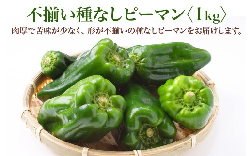 【先行予約】不揃い種なしピーマン（ＳＳサイズ）1kg【2026年7月発送】　　【07521-0139】