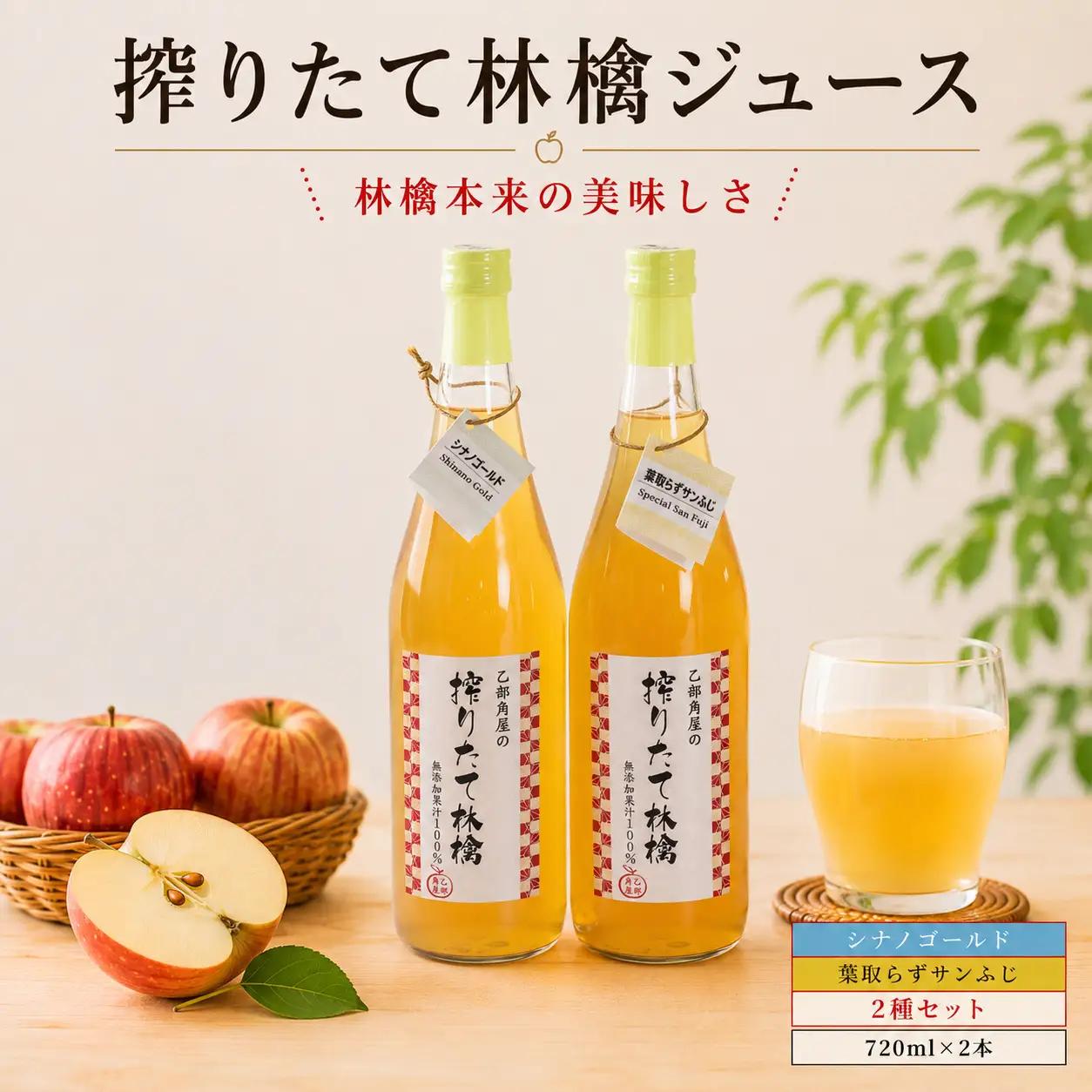 搾りたて林檎ジュース 720ml×2本 佐々木果樹園 乙部角屋 otobe001 りんごジュース