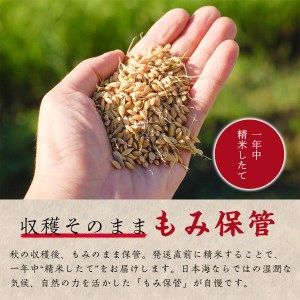 Y006 “土づくりの恵み” つやっつやの特別栽培米  12ヶ月お届けコース【コシヒカリ】