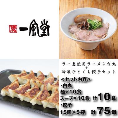 ふるさと納税 新宮町 【一風堂】白丸ラー麦麺10食とひとくち餃子5袋セット【豚骨ラーメン】.AF168