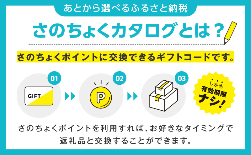 【有効期限なし】あとから選べる さのちょくカタログ（寄附1,000,000円コース）【泉佐野市 ふるさとギフト 3000品以上 高評価 肉 ビール 海鮮 野菜 定期便 タオル ティッシュ 後から カタ