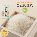 【ふるさと納税】令和5年度 かわうち産 特別栽培米 ひとめぼれ 5kg