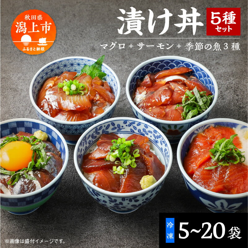 【ふるさと納税】海鮮漬け丼セット 5種×2袋 60g 選べる袋数 5袋 10袋 20袋 食べ比べ 訳アリ 訳あり 簡易包装 冷凍 海鮮丼 海鮮 マグロ サーモン タイ アジ イナダ 季節 魚 漬け 丼 魚介 簡単調理 お手軽 小分け パック 個包装 おすすめ 送料無料 【西村魚屋】