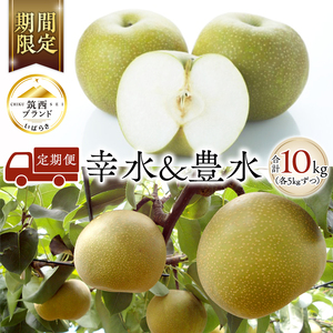 梨 2種 ( 幸水 ＆ 豊水 各5kg 合計10kg ) 定期便 セット 2026年産 先行予約 なし [AE022ci]