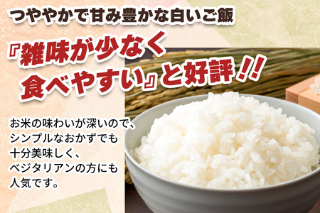 [数量限定／令和7年度米] こしひかり《日光ダイヤ舞／白米10kg》 [0930]