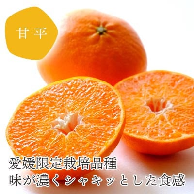 【発送月固定定期便】愛媛の人気2品種を堪能!せとか・甘平 食べ比べ【訳あり】【F25−201】全2回【4066441】
