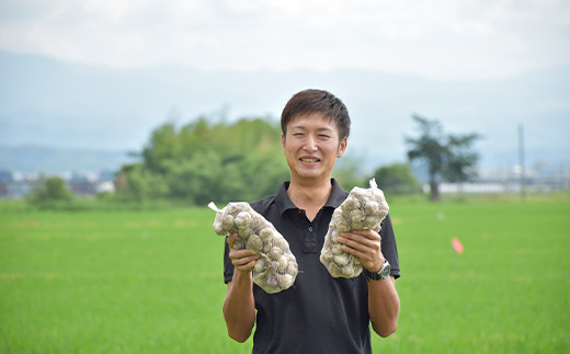 《2026年発送》 最上伝承野菜 【最上赤にんにく】 450g（バラ） にんにく ニンニク 薬味 ガーリック 野菜 F3S-2482