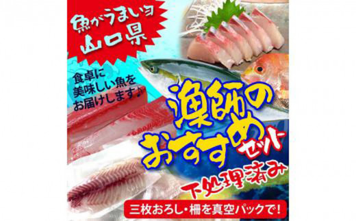 （3ヶ月定期便）山口県 漁師 厳選 鮮魚 詰め合わせ サクセット（下処理済）【山口県 宇部市 魚 漁師 新鮮 おいしい 魚 選りすぐり 下処理 サク 三枚おろし 真空バック 煮魚  魚介類 海の幸 調理 刺身 鍋 揚げ物 焼き おかず おたのしみ 】