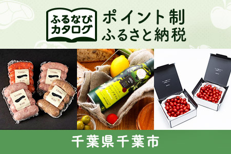 【有効期限なし！後からゆっくり特産品を選べる】千葉県千葉市カタログポイント