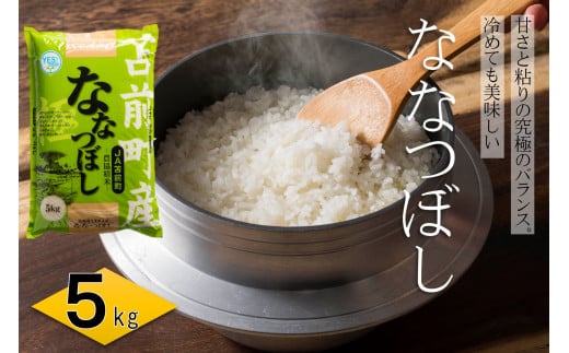 【令和7年産】北海道とままえ産ななつぼし　5kg