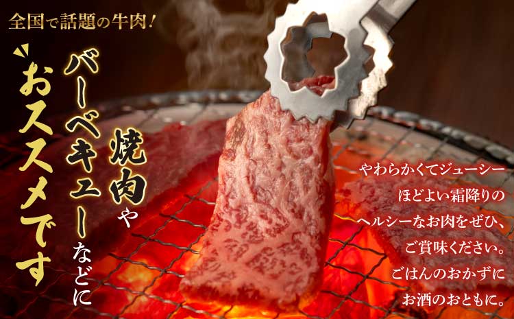 くまもと黒毛和牛 焼肉 セット 計700g（350g×2種）カルビ ロース 国産 和牛 牛肉