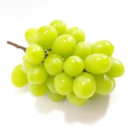 【発送月固定定期便】山梨旬の味覚定期便【桃 約2kg/2色葡萄 1kg以上】全2回【配送不可地域：離島】【4082866】