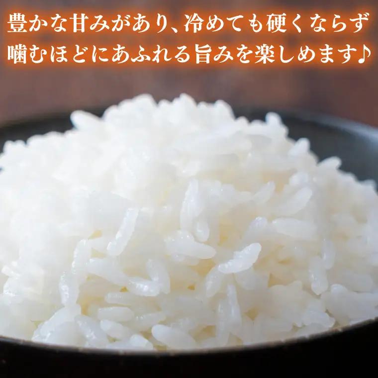 ＼先行予約・11月より順次発送・令和8年産／★令和8年産★ とちぎの星　白米5kg (AU023-ss-11)