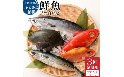＜3回定期便＞ 季節の鮮魚 おまかせお楽しみセット（ブロンズコース）鮮魚 ボックス 詰め合わせ 天然魚 食べ比べ 魚介類 海鮮料理 魚 新鮮 刺し身 煮付け お楽しみ 定期便 3ヶ月 高知 【J00023】