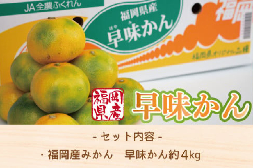 【期間限定発送】 みかん 早味かん 約 4kg [南国フルーツ 福岡県 宇美町 um40azo970031] 福岡県産 ミカン 早生みかん 早生ミカン フルーツ 果物 くだもの