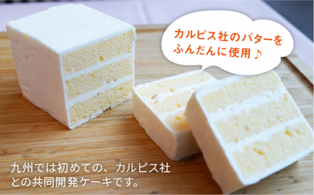 【全6回定期便】VISAVIS菓子 4種セット 計9点＜株式会社シークス＞那珂川市 定期便 バターケーキ お菓子 スイーツ  118000 118000円 [GAU011]