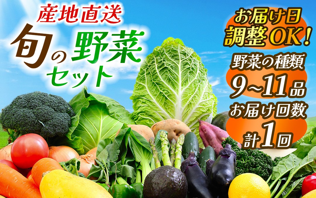 
            旬の野菜セット　【 野菜 やさい きのこ 山菜 セット 定期 旬 定期便 人気 詰め合わせ 1ヵ月 おまかせ 新鮮  】　<BC-14>
          