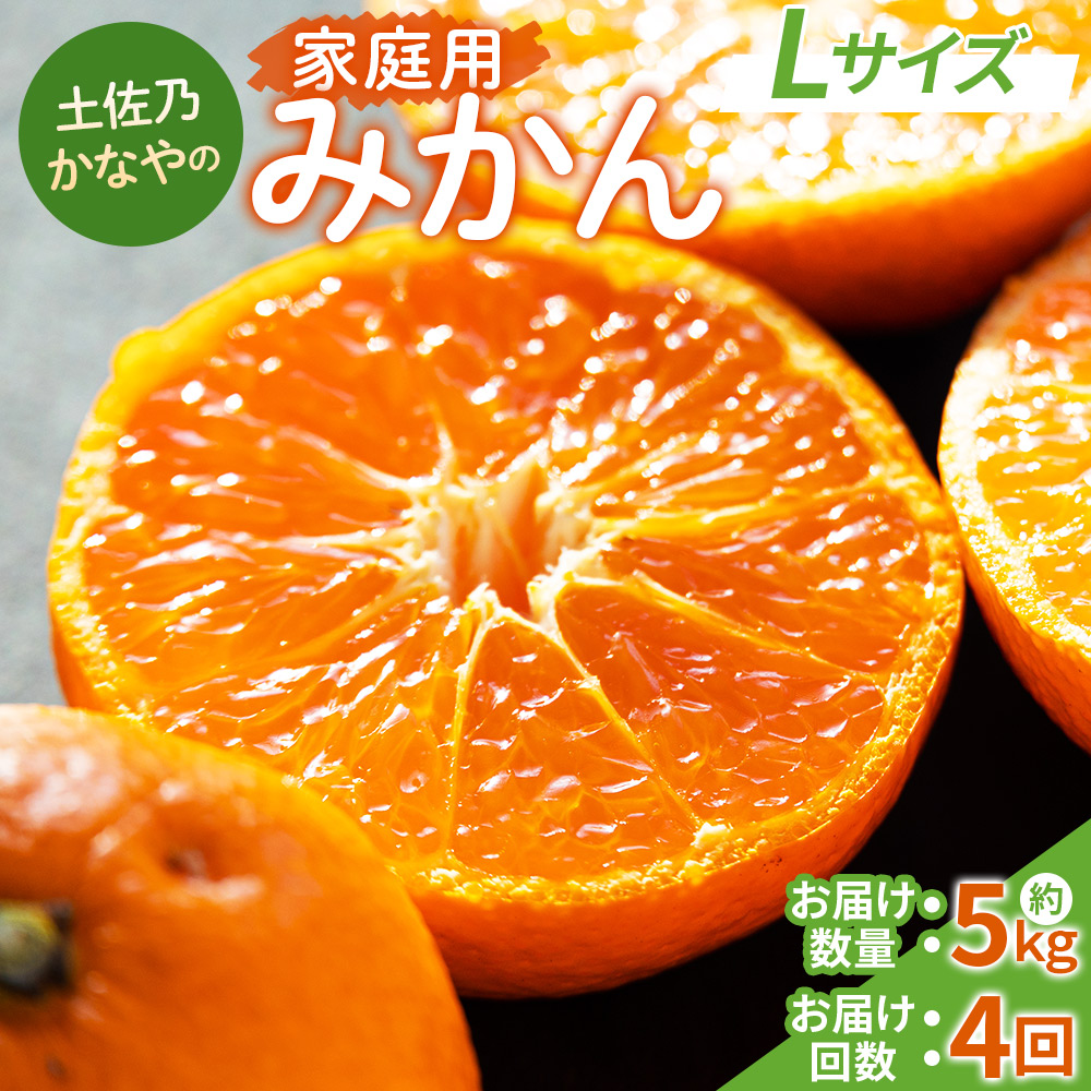 【みかん定期便 4回】土佐乃かなやの家庭用みかん5kg(Lサイズ)×4回 合計20kg - 定期便 数量 国産 早生みかん 極早生みかん グリーンみかん 蜜柑 ミカン 柑橘 果物 くだもの フルーツ ご家庭用 ご自宅用 Benifare 高知県 香南市 常温 Wbe-0091