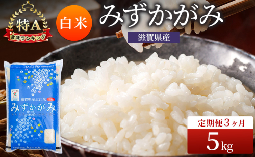 みずかがみ 米 定期便 5kg 白米 定期 3回 コメ お米 こめ 精米 ミズカガミ 滋賀県 豊郷町