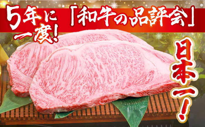 ステーキ 約500g × 2枚 肉 長崎和牛 サーロイン / 南島原市 / 島原雲仙農業協同組合 [SES002]