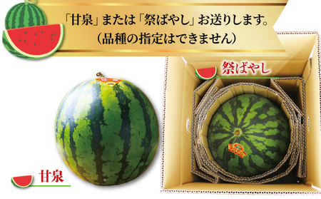 えひめ 山すいか 7kg ～ 8kg 一玉 Lサイズ フレッシュつちやま 西瓜 すいか 大玉 大玉西瓜 大玉スイカ 祭ばやし 甘泉 品種 おまかせ 果物 フルーツ 期間限定 旬 産地直送 数量限定 国