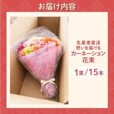 ふるさと納税 西尾市 【母の日までにお届け(4/20までに決済完了)】生産者直送　想いを届けるカーネーション花束・T164 |  | 03