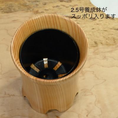 ふるさと納税 都留市 木製　鉢　2.5号　SA221 |  | 02