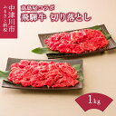 【ふるさと納税】【高島屋選定品】 ＜熊崎畜産＞飛騨牛切り落とし1kg モモ 肩 バラ 冷凍 肉 牛肉 和牛 ギフト 国産 すき焼き 焼肉 牛丼 炒め物 バーベキュー キャンプ アウトドア 人気 お取り寄せ グルメ 送料無料 岐阜県 中津川市 F4N-0557