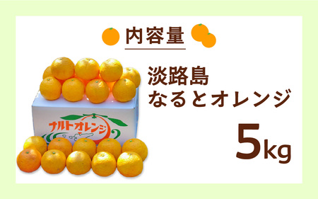 【先行予約】 【数量限定】 淡路島なるとオレンジ 5kg 若宮ミカン農園【2025年4月より順次発送】 / みかん オレンジ フルーツ ミカン 果物 果実 青果 兵庫県 淡路島 洲本市産 農園 農家 