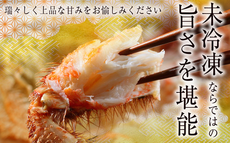 ボイル毛ガニ 500g ＜かに善＞