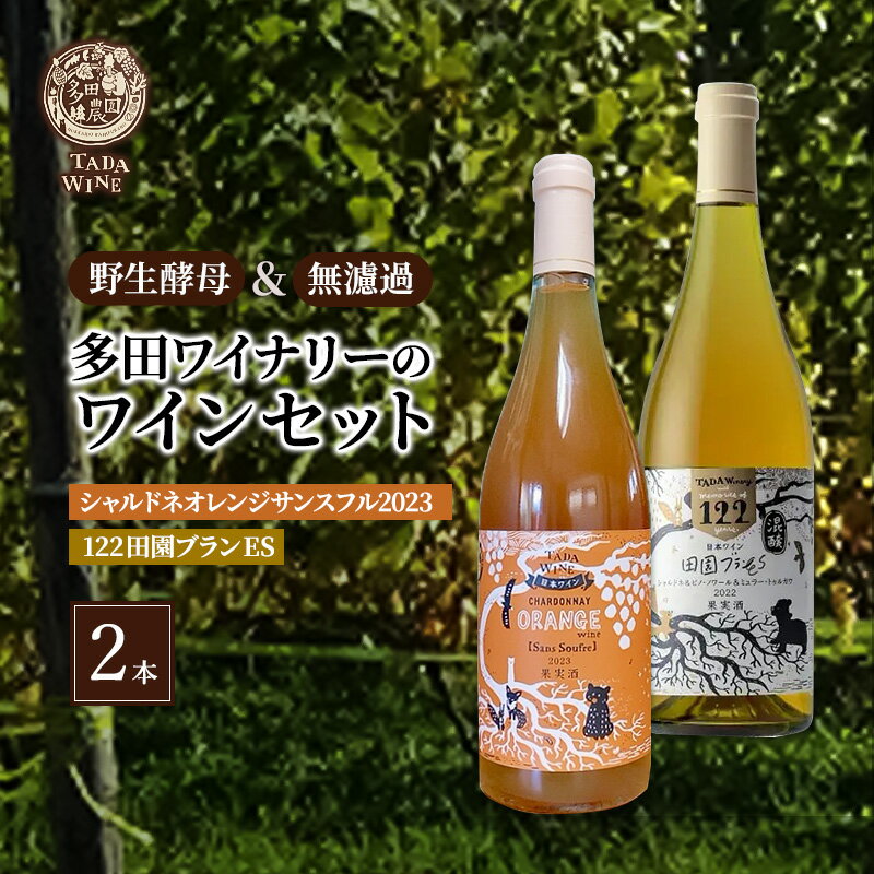 【ふるさと納税】ワイン シャルドネのオレンジワイン＆混醸の辛口白ワイン●計2本 多田ワイナリー 白ワイン セット 酒 お酒 アルコール