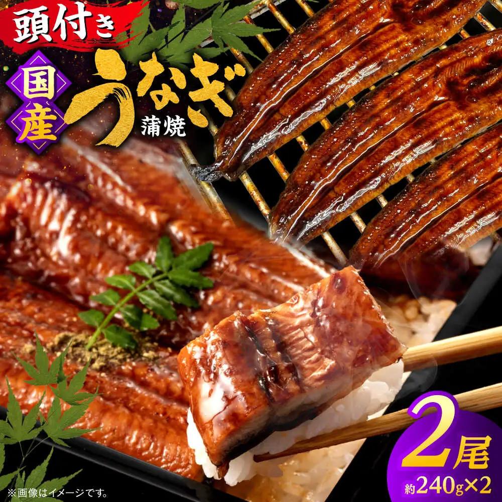 うなぎ 国産うなぎの蒲焼×2尾（頭付き）島根県松江市/うなぎの源内[ALHE002] うなぎ うなぎ