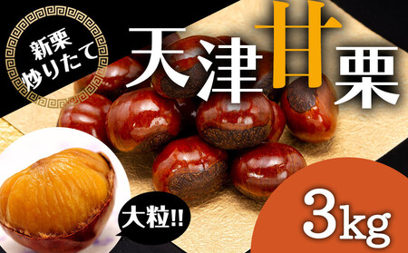 無添加 大粒天津甘栗 3kg 甘栗