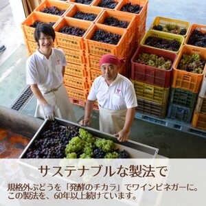 【蔵元直送】プロ御用達!山梨産ホワイトバルサミコ酢4本セット〈世界農業遺産認定地域のぶどう使用〉【1494558】