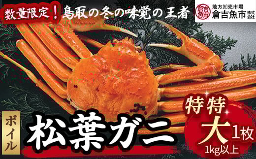 【倉吉魚市】ボイル松葉がに（特特大）1㎏以上  ボイル 松葉ガニ ズワイガニ カニ爪 冷蔵 数量 期間 限定 数量限定 カニ ずわいがに 国産 倉吉市