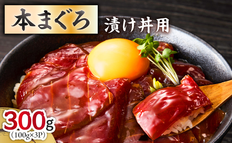 本まぐろ漬け丼用 100g×3パック　M005-049