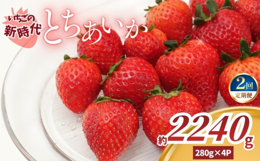 【2027年 先行予約】【定期便2回】いちごの新時代「とちあいか」280g×4P×2回（合計2240g）｜栃木県 矢板市産